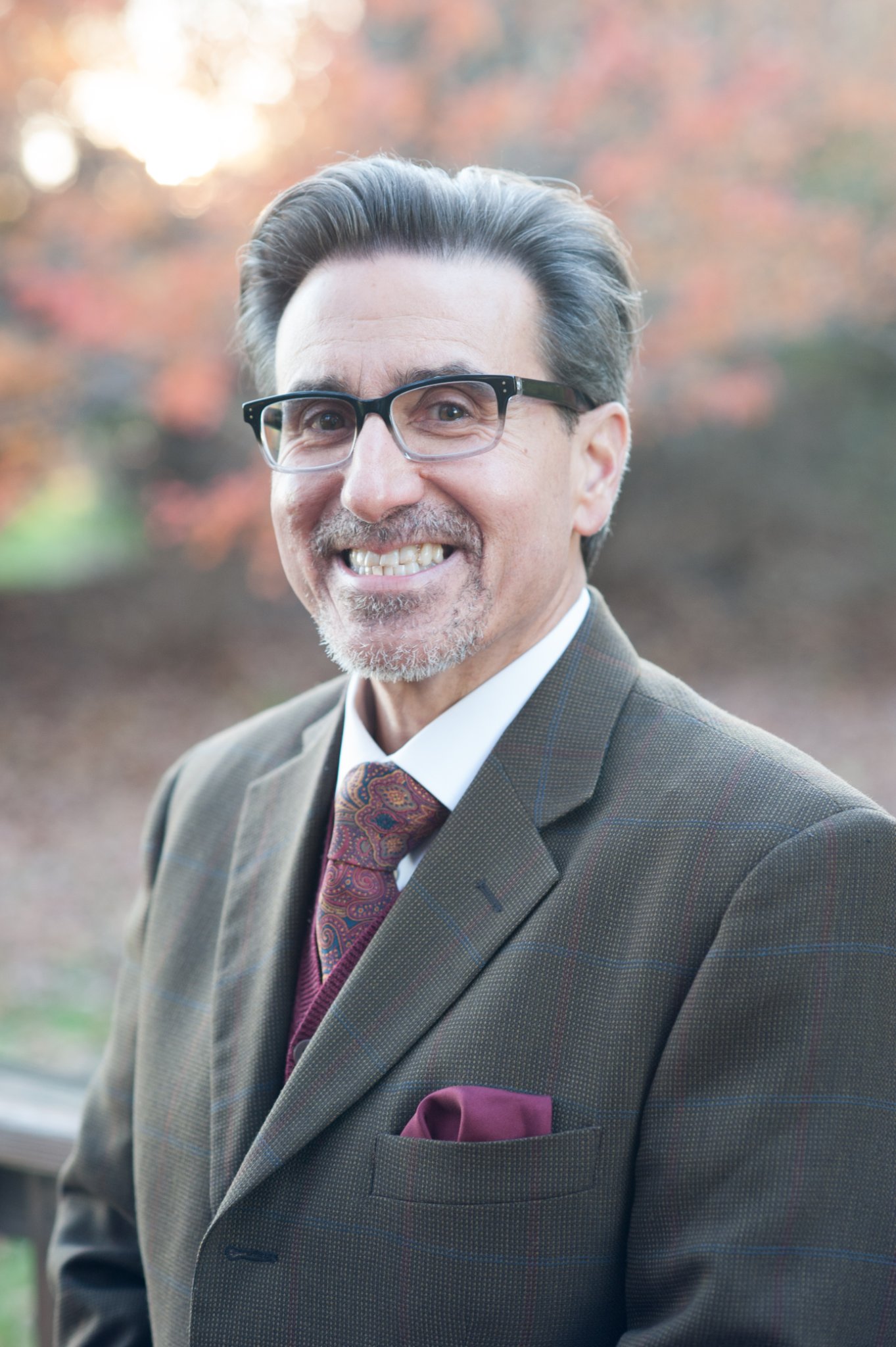 What is a dissertation image